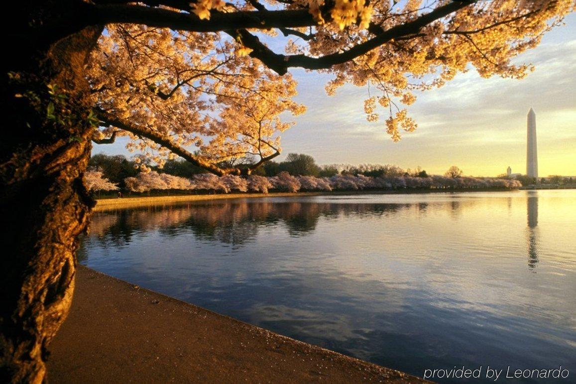 Towneplace Suites Dulles Airport Стерлінґ Екстер'єр фото
